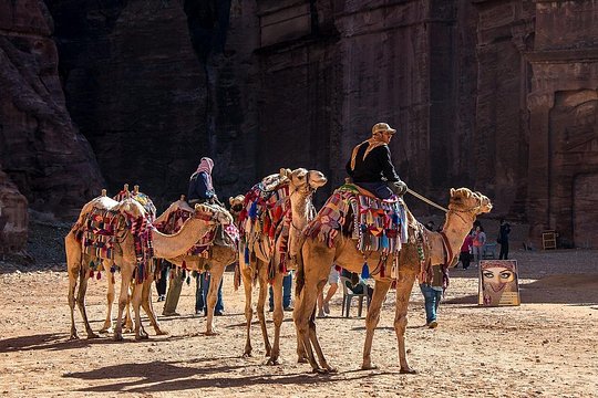 صورة الجولة 9