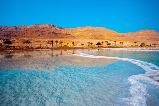 صورة الجولة 9