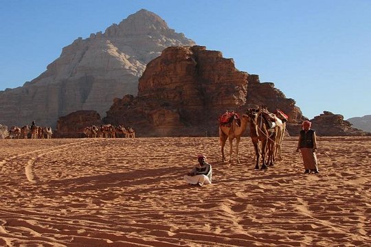 صورة الجولة 8