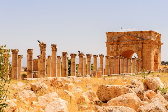 صورة الجولة 4