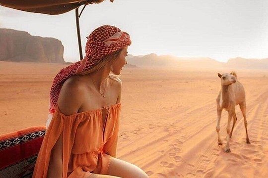 صورة الجولة 4