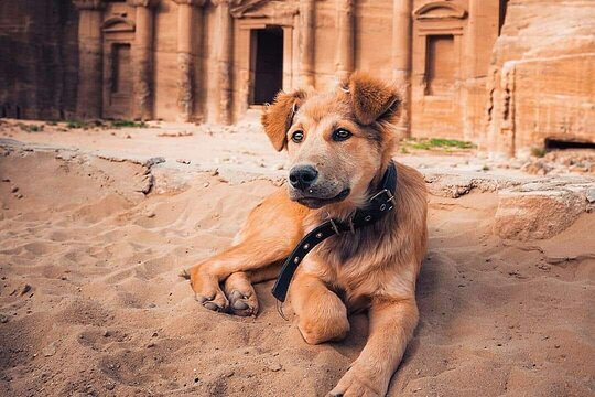 Tour image 10