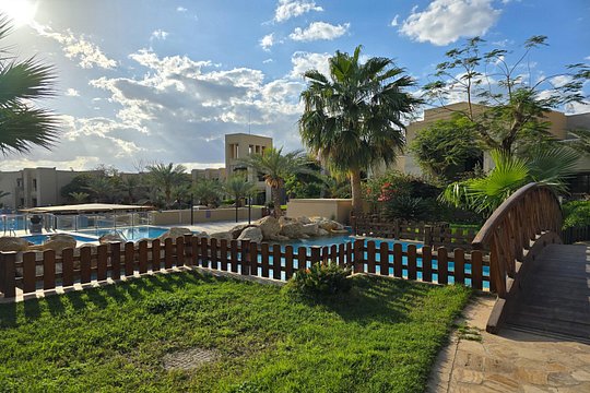 صورة الجولة 8